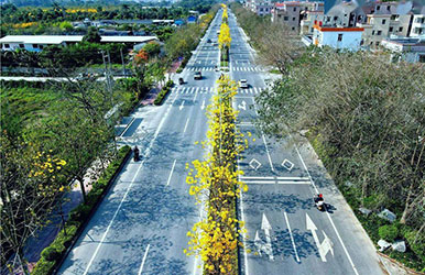 广东新兴· 六祖大道景观提升工程（二期）