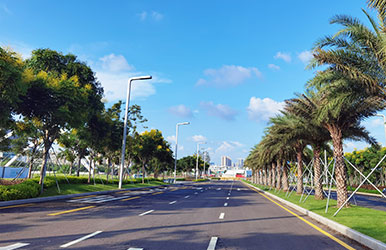 广东深圳·前海环境和绿化双提升景观工程