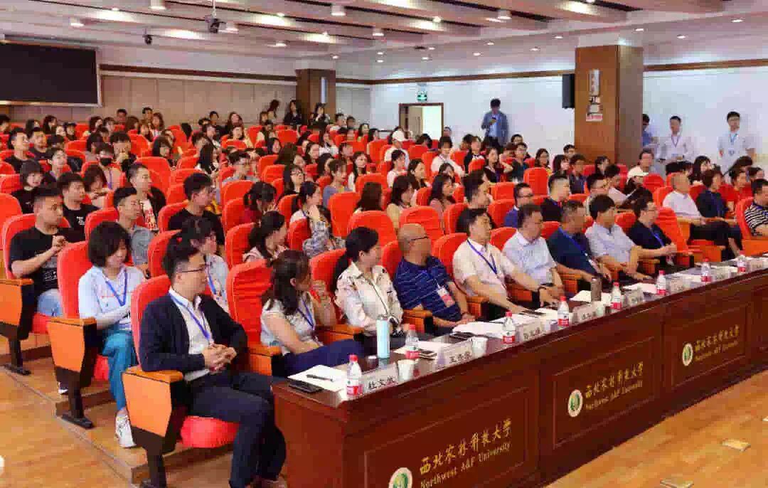 惊艳！97622国际游戏园林杯赛诞生一批“脑洞”设计师