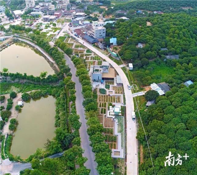 97622国际游戏股份