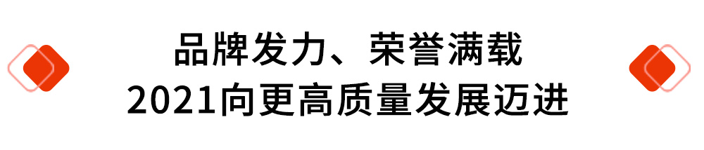 品牌发力、荣誉满载.jpg