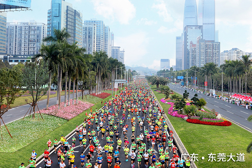 东莞大道.jpg